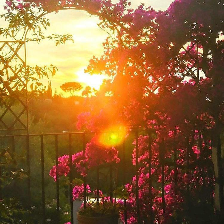 Villa L'Ulivina ซอร์เรนโต ภายนอก รูปภาพ