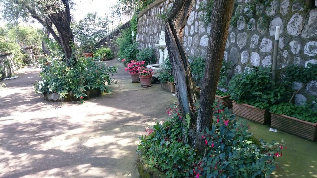 Villa L'Ulivina ซอร์เรนโต ภายนอก รูปภาพ