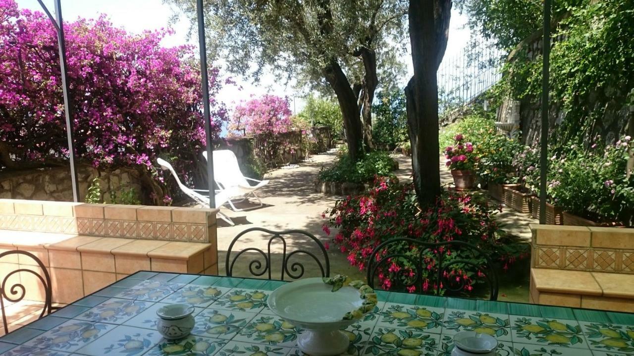Villa L'Ulivina ซอร์เรนโต ภายนอก รูปภาพ
