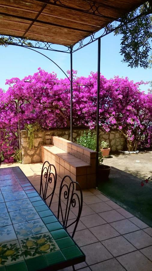 Villa L'Ulivina ซอร์เรนโต ภายนอก รูปภาพ